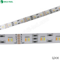 NUEVA tira 12mm PCB dc12v / 24v 60leds RGBW + WW 5 en una tira de luz flexible